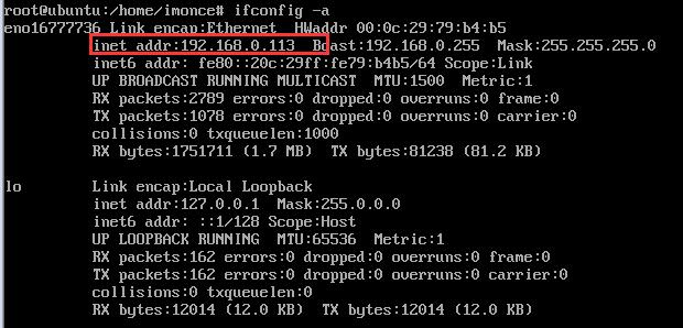 虚拟机上的IP地址